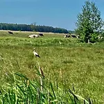 Z Jaskółką Parter Smołdzino