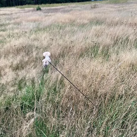 Lejlighed Z Jaskolka Parter *