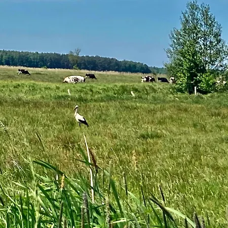 Z Jaskolka Parter Smołdzino