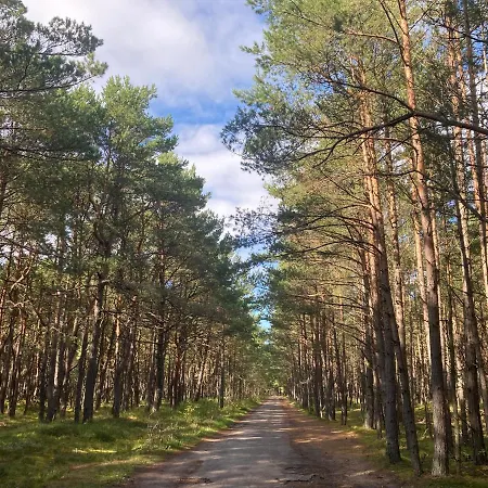 Apartamento Z Jaskółką Parter *