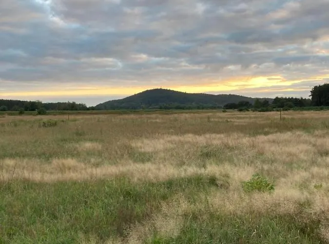 Z Jaskolka Parter شقة