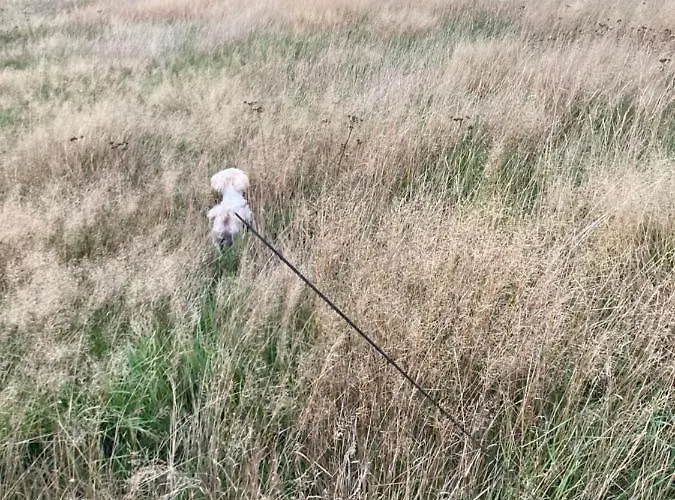 شقة Z Jaskolka Parter *