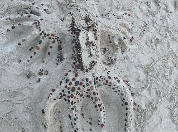 Z Jaskolka Parter Smołdzino