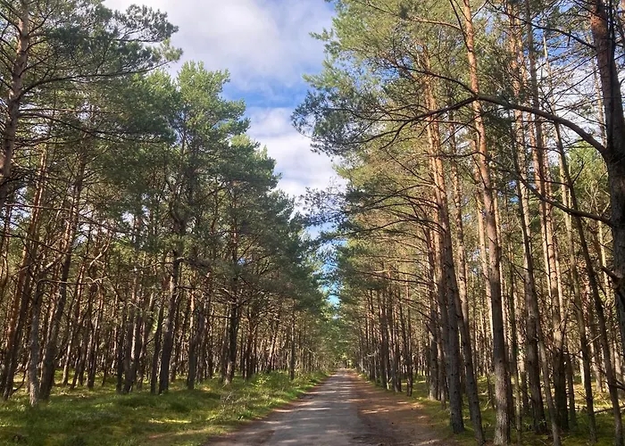 شقة Z Jaskolka Parter *